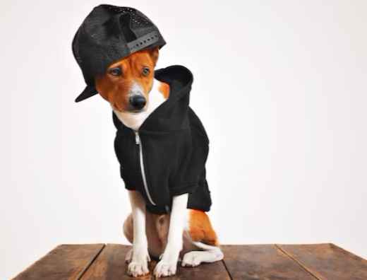 Picture for category Apparel